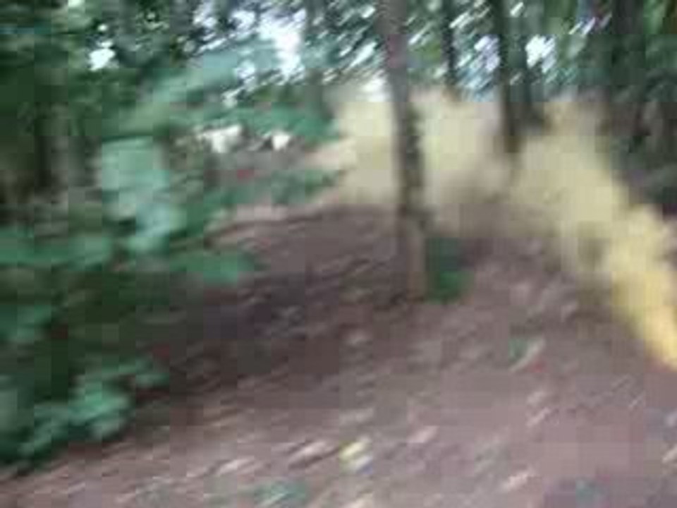 paintball 07/09/08 esbly