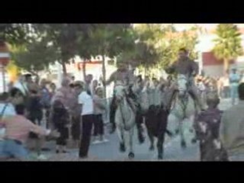 Bandido au Grau du Roi le 7 septembre 2008