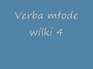 Młode wilki 4