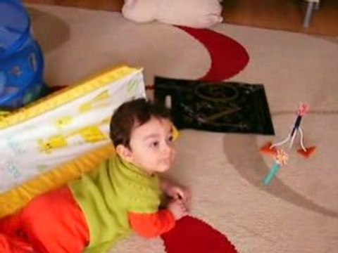 SANY17 1125 Kukla kuş