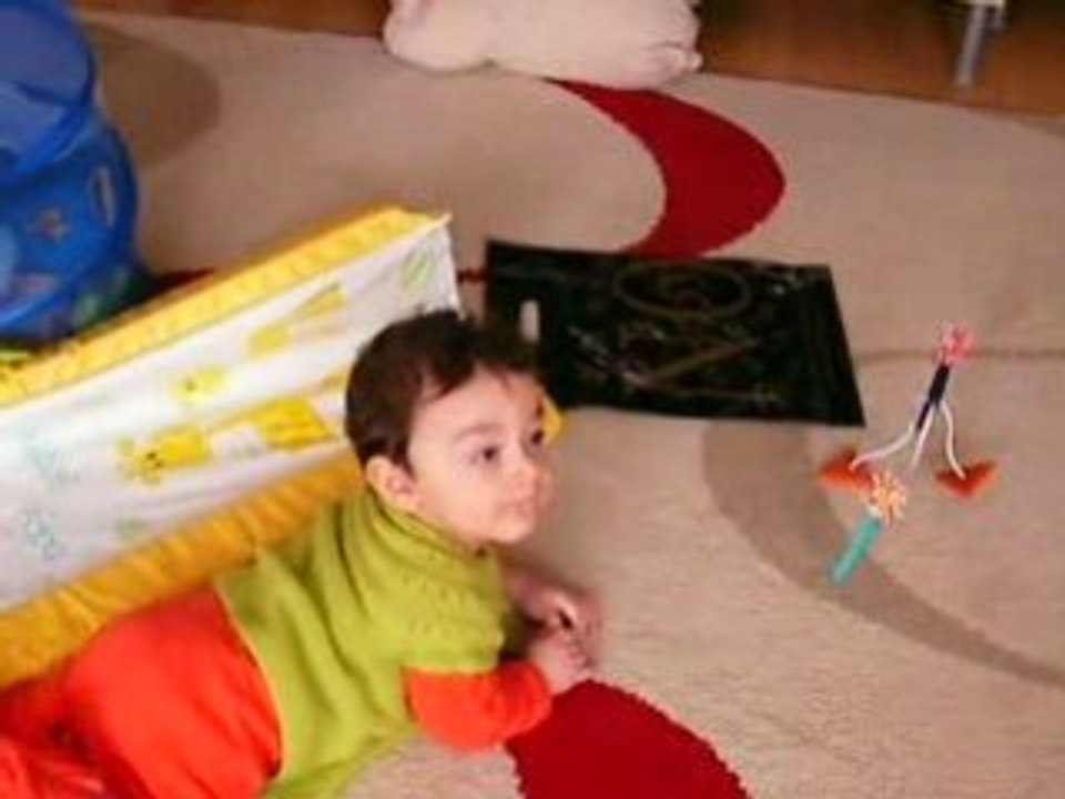 SANY17 1125 Kukla kuş