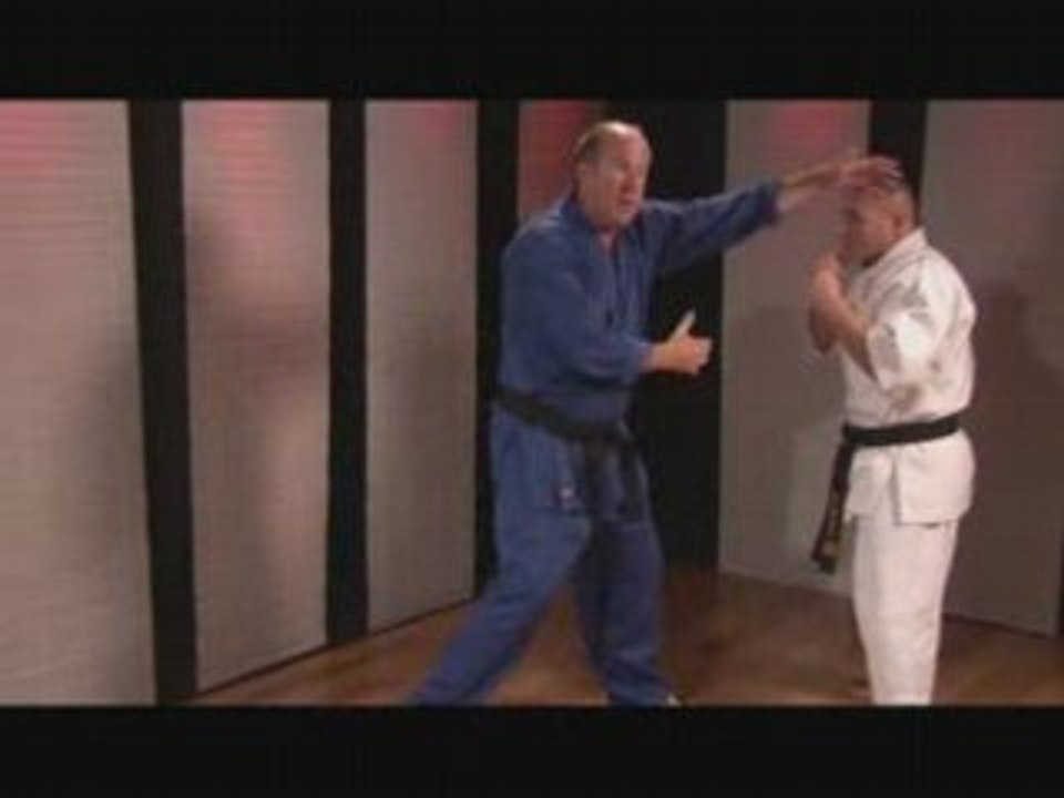 Martial Arts Defense:Counter Fighters