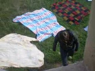 6 jours avec claire ( chanfro ) 035