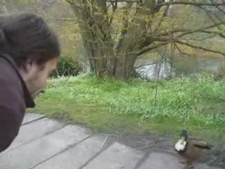 Yohan &  le canard danois
