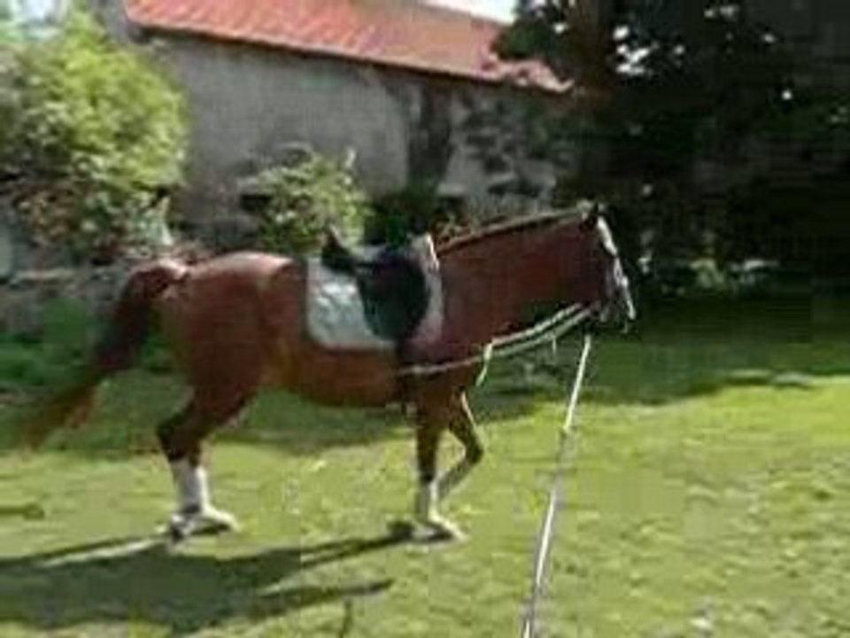 Video 2