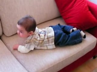 Kot ve gömlekli koltukta