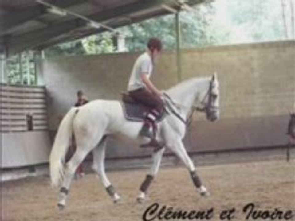 Les cavaliers de la SHCM (2)