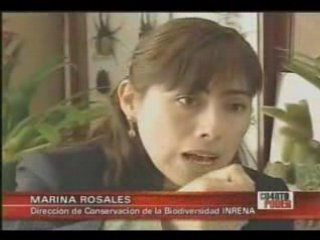 Cuarto Poder - Peru Patentado (2de2)