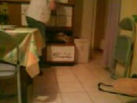 chat qui ramene la balle part 1