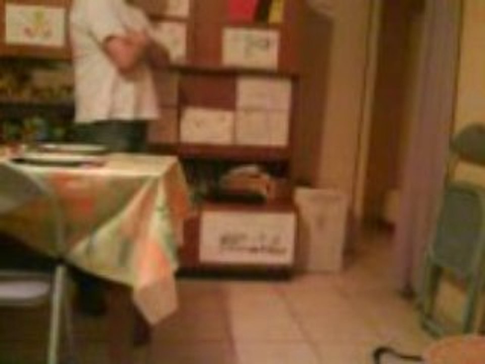 chat qui ramene la balle part 2