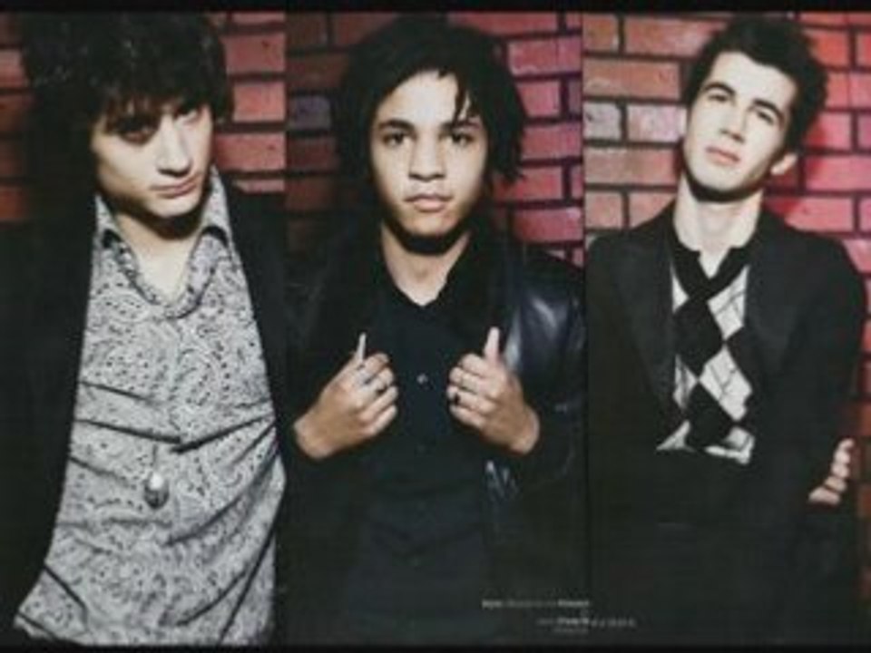 BB brunes -  seul ou accompagné