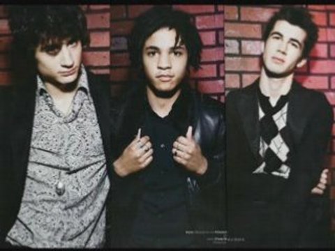 BB brunes - seul ou accompagné