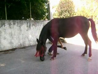 Scéance avec toundra