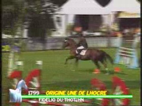 FONTAINEBLEAU_GS_2008-06-1799