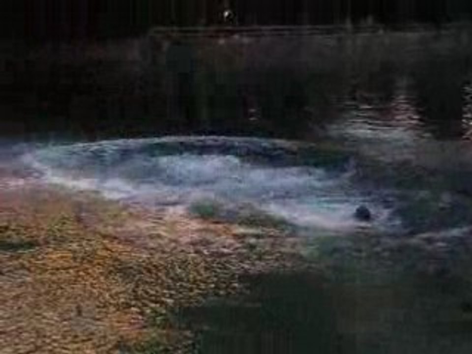 MVI_4354