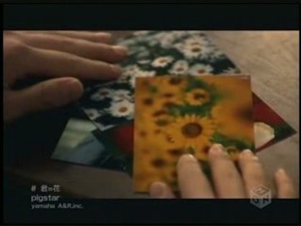 Kimi Hana - Pigstar PV