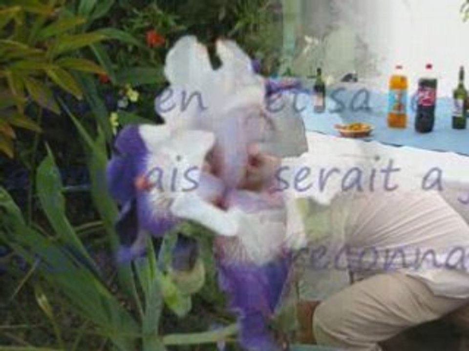 Remoi_0001