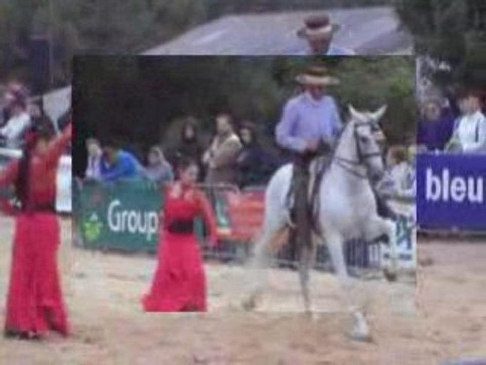 DOMAINE DE GAILLAC SPECTACLE EQUESTRE reportage B.Trioulet