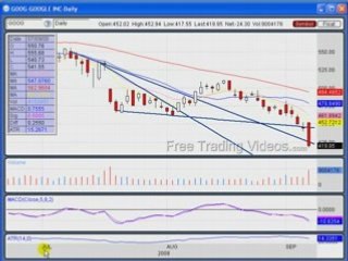 Sept. 8, 08 :  AAPL and GOOG taking hit