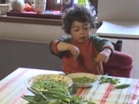 Les petits pois du petit Émile