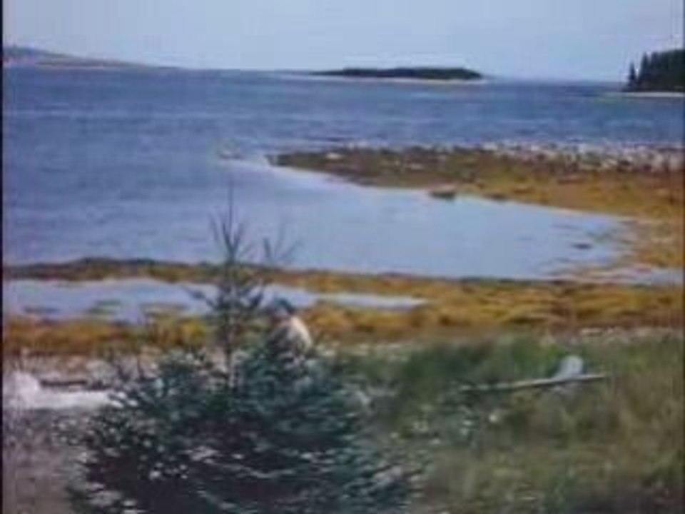 Ile aux chênes-trésor avec Bill Burrud 1958(2)