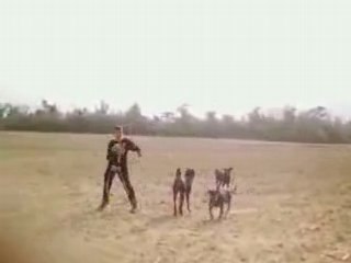 Tranceman fait mumuse dans le champ!