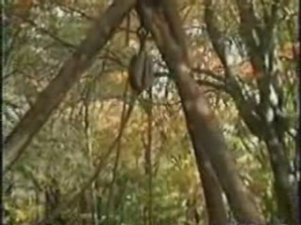 Oak island-money pit(1)