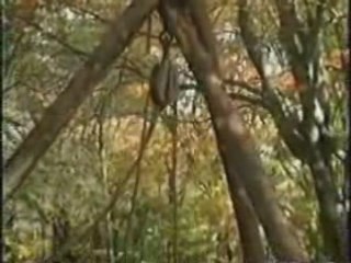 Oak island-money pit(1)