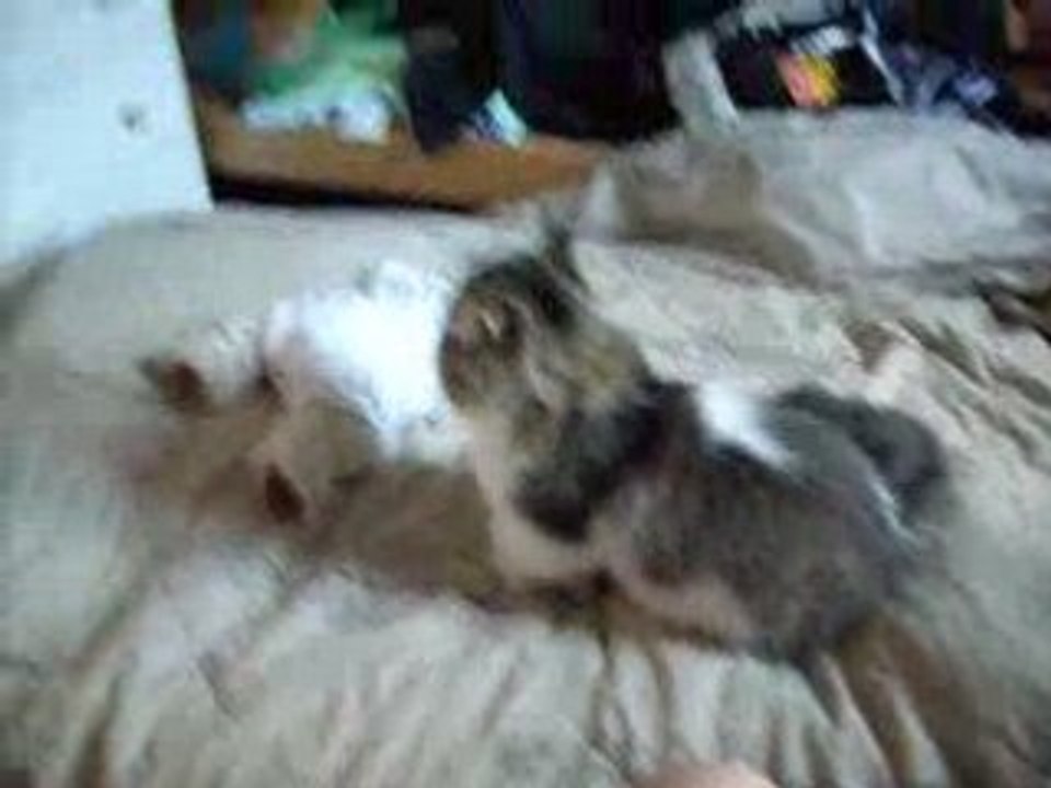 Pixel!