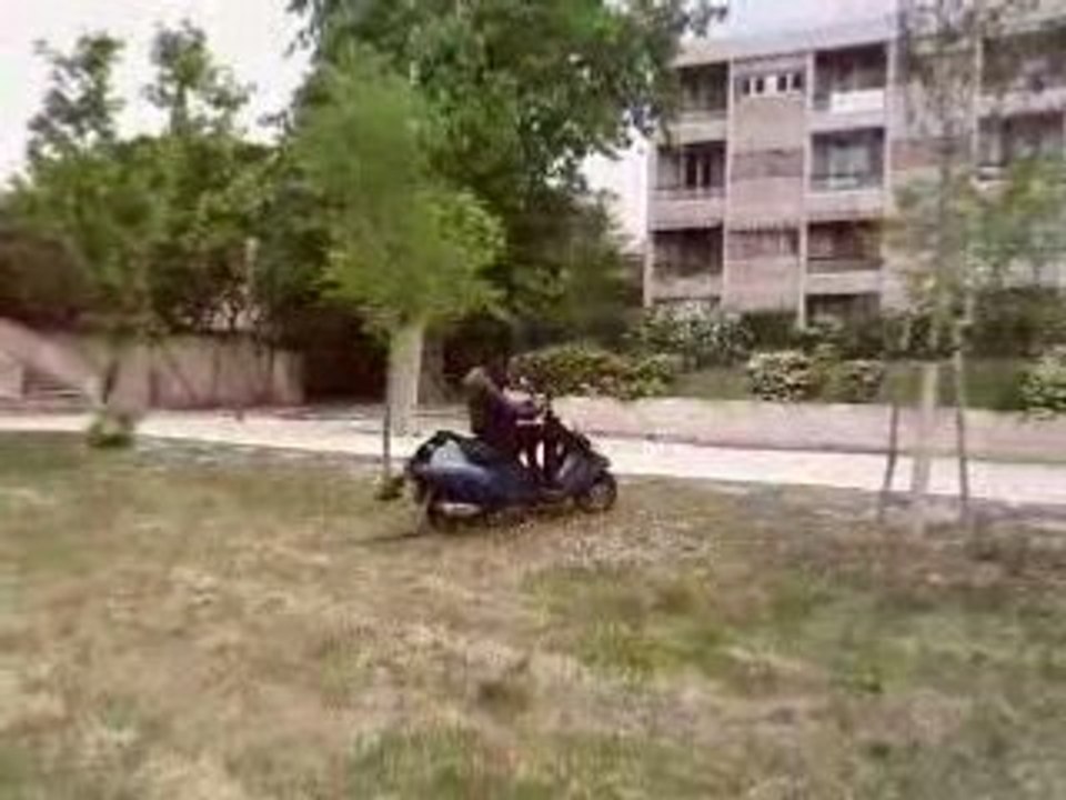Cer un fou 2
