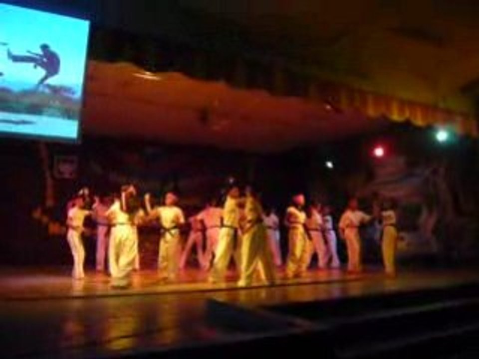 Kung Fu dance