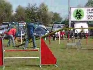 Alpha en agility le 7.09.08