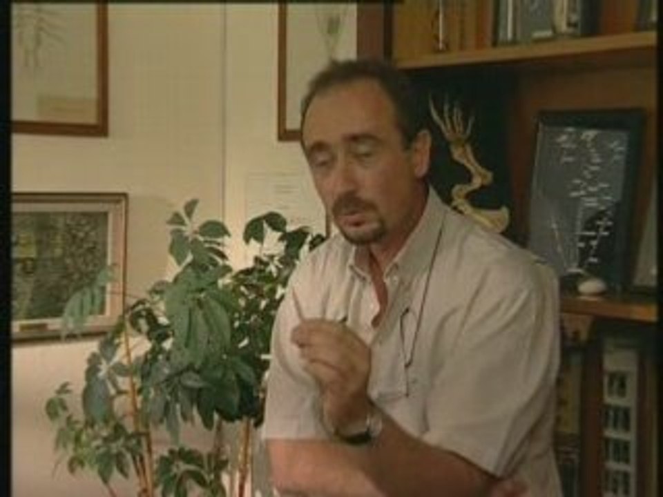Le bal des espèces
