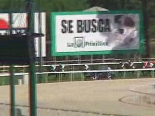 2008 (345) Premio MMAMRYM (Cat. C) (DON LIMIAO)