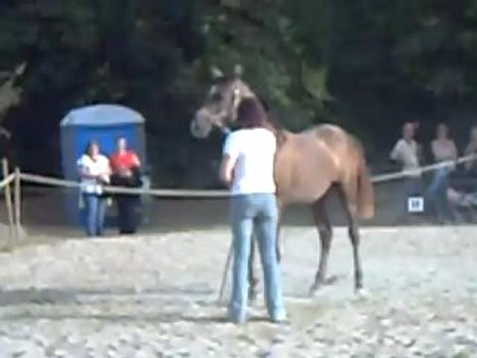 CB JACK modeles et allures Montferrat