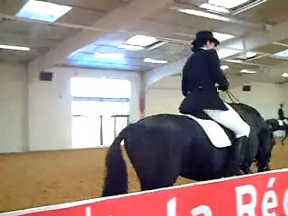 versatil- pur sang lusitanien masters iberiques reprise D2