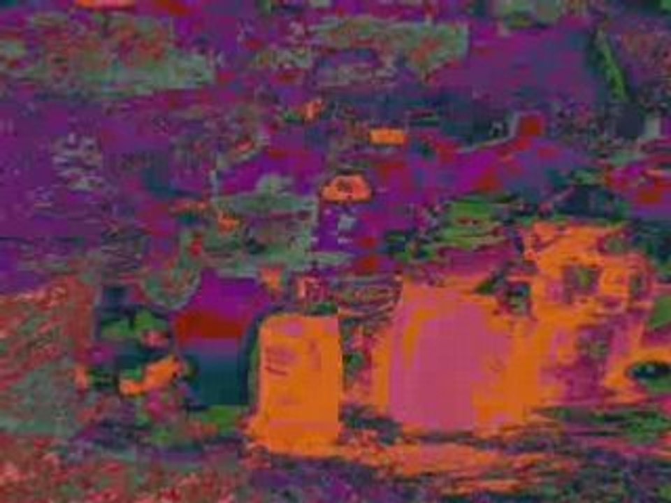 Ile st malsain total mix - 2004