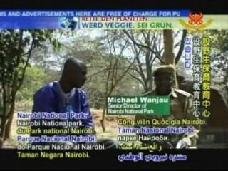 Nairobi National Park: Kenya's Urban Oasis - Part 1