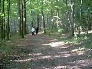 Balade dans les bois 08 09 08 bis