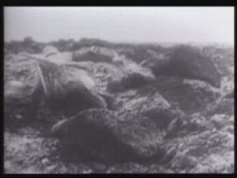 1914-1918 : Verdun - Jutland