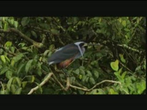 La fabuleuse Histoire des excréments (3/3)