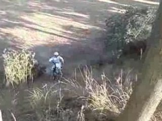 Mon 250 cr edition limiter