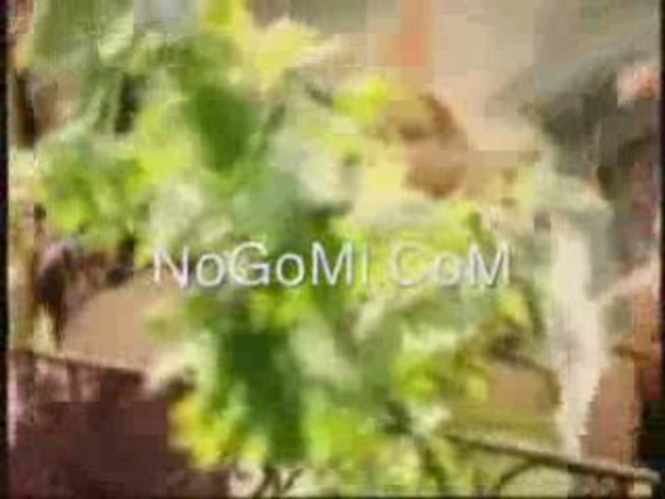 SIDI MANSOUR YA BABA Saber Rebai magnif