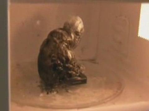 telephone portable dans un micro-ondes