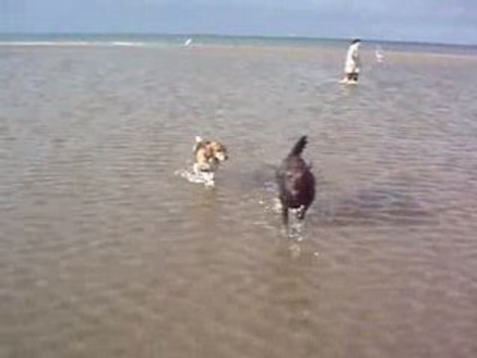 Vacances 2008 102