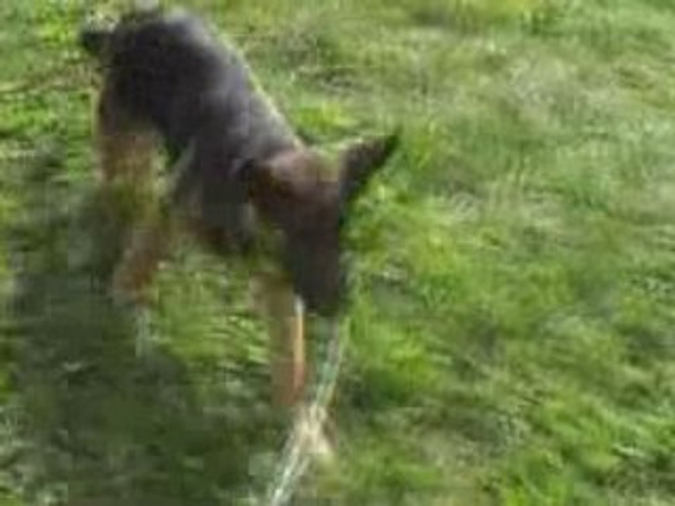 ballade