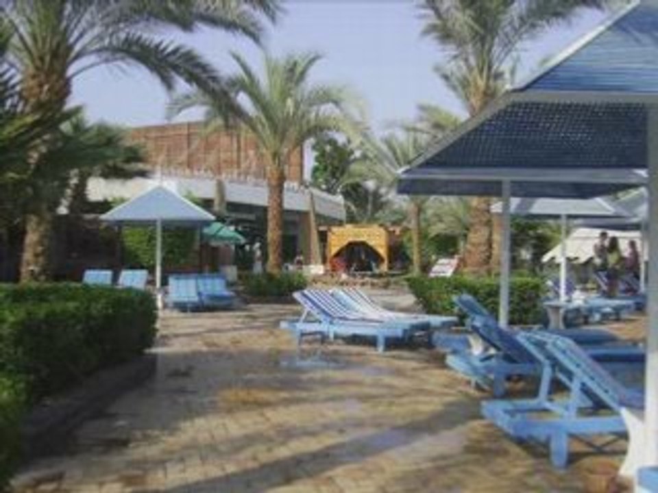 Nos vacances en Egypte du 23.08.08 au 31.08.08