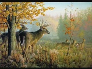 Mélange de peintures diapo