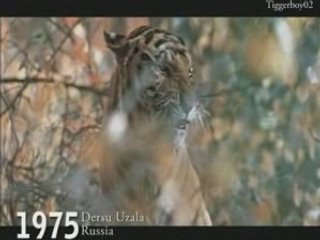 Best Foreign Language Film Oscar Winners