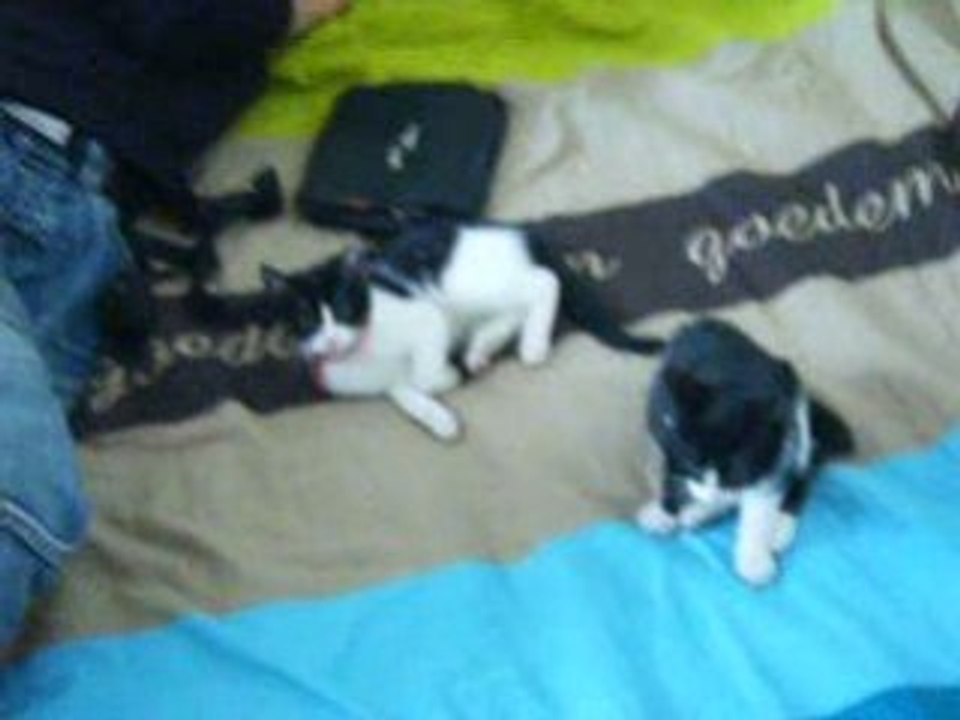 Mes poupouses...